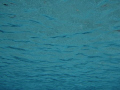   looking clear water  